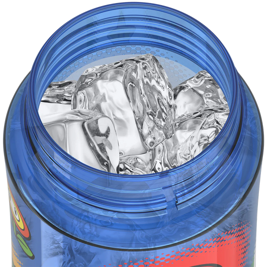 16oz THERMOS® KIDS WATER BOTTLE WITH SPOUT LID MARIO KART™